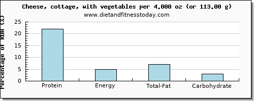 protein and nutritional content in cottage cheese